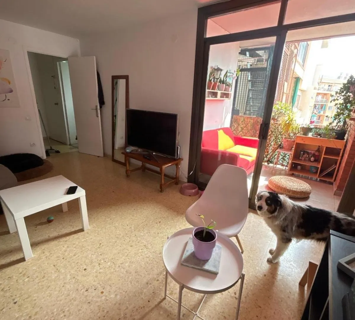 Habitacion Vacacional Para 1 Persona Barselona